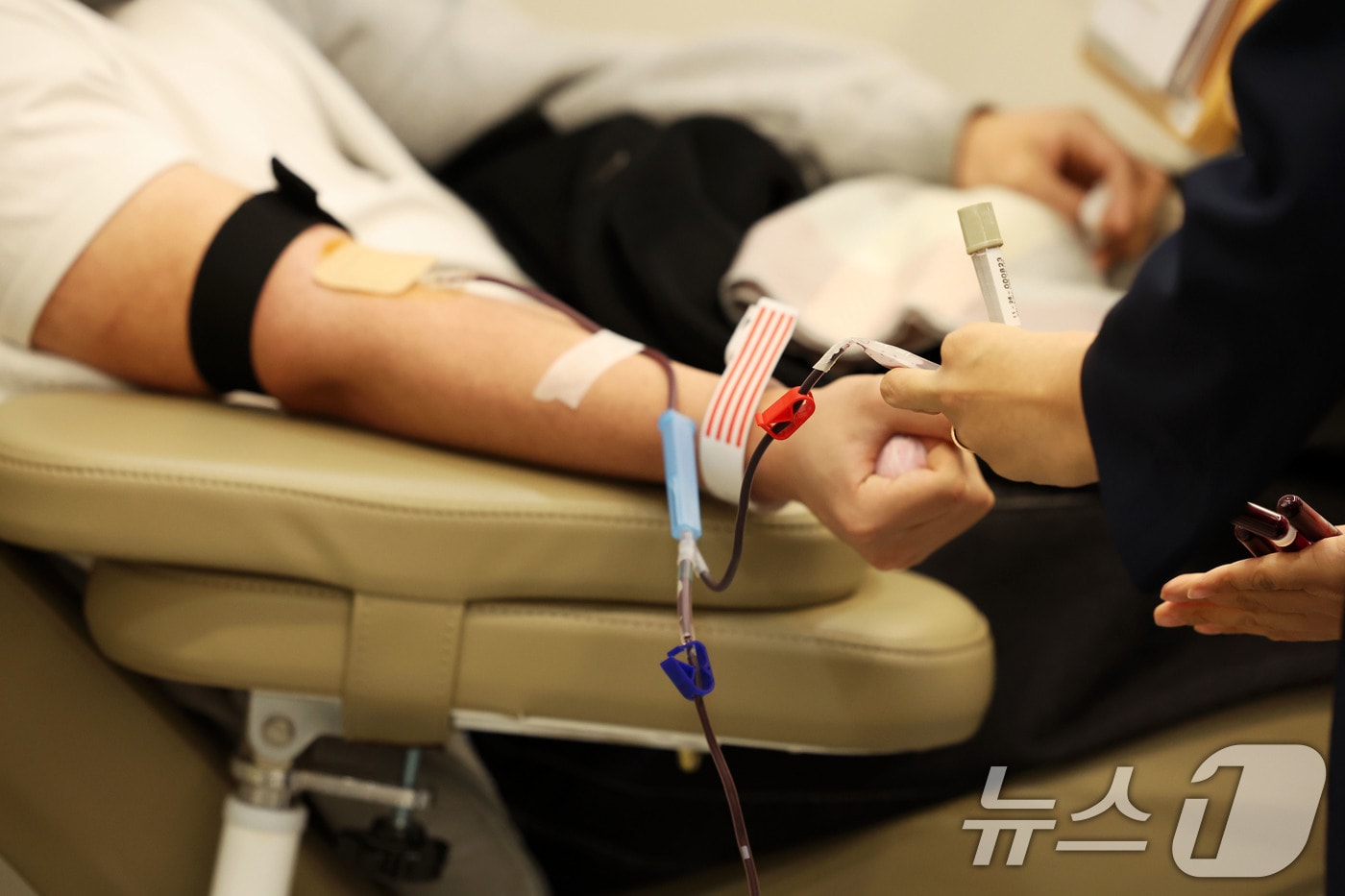 23일 오전 광주 동구 헌혈의집 충장로센터에서 시민들이 헌혈을 하고 있다. (사진은 기사 내용과 무관하다). 2026.1.23 ⓒ 뉴스1 이승현 기자