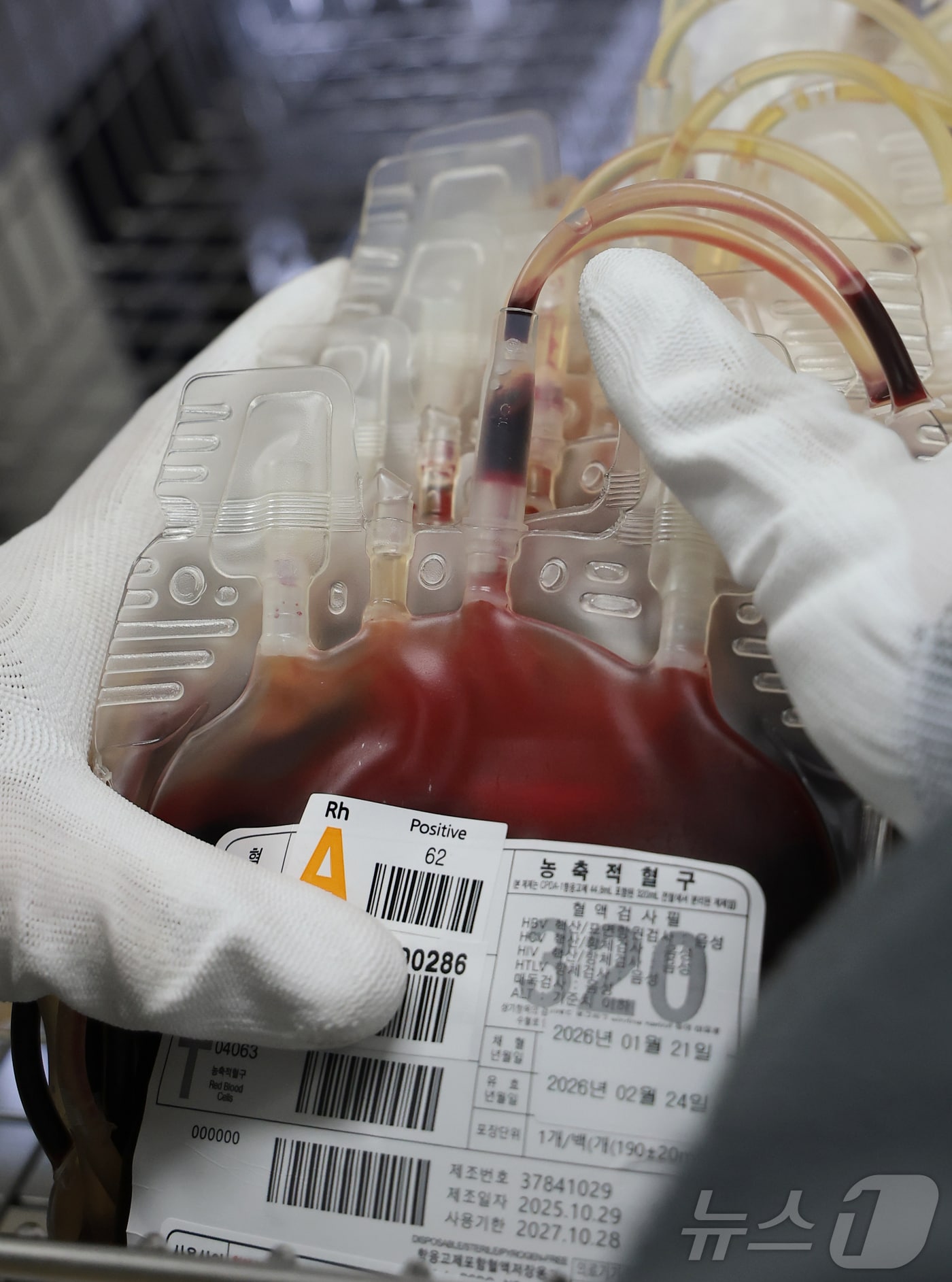 23일 오후 서울 노원구 대한적십자사 서울동부혈액원에 혈액이 보관함에 담겨 있다.  ⓒ 뉴스1 권현진 기자