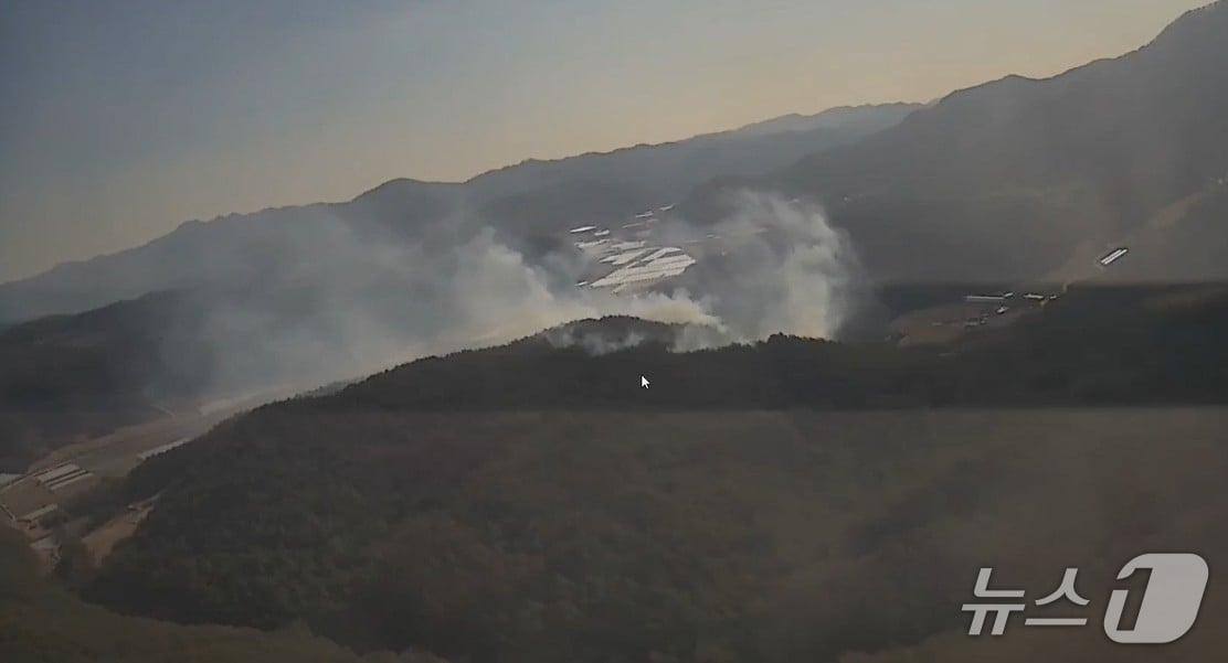 봉화산불 사진(산림청 제공. 재판매 및 DB금지)/뉴스1