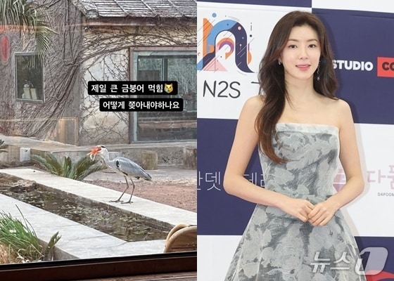 사진=박한별 인스타그램, 뉴스1 DB