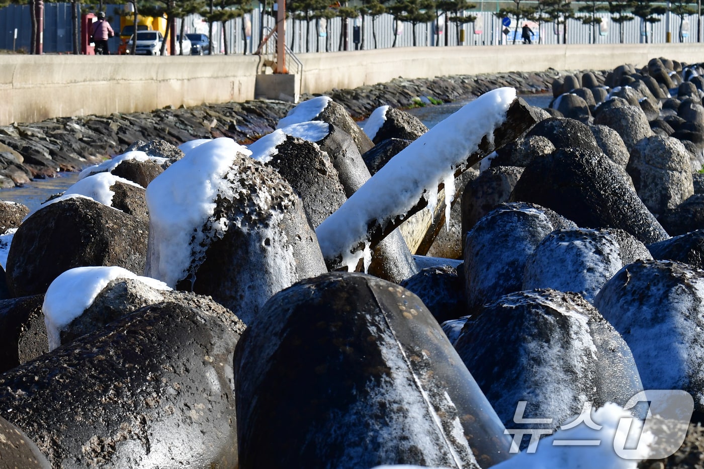 지난 25일 오전 경북 포항시 북구 환여동 앞 바다에 있는 테트라포드 위에 바닷물이 얼어 붙어있다. 2026.1.25/뉴스1 ⓒ News1 최창호 기자