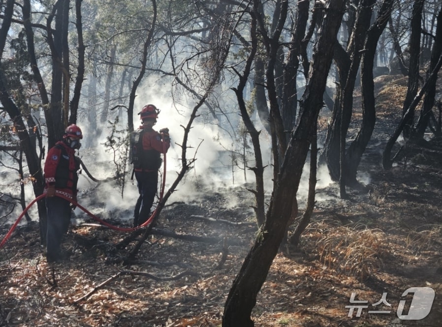 25일 오후 1시33분쯤 경북 경주시 산내면 외칠리 야산에서 불이 나 소방대원이 진화하고 있다. (산림청 제공, 재판매 및 DB금지)