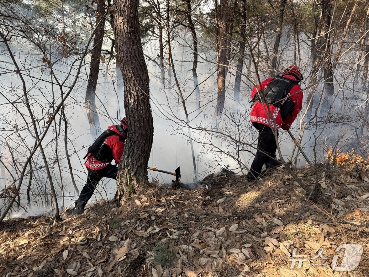 25일 오후 1시 27분쯤 충북 괴산군 청천면 운교리의 한 야산에서 불이 나 40여 분만에 진화됐다.(산림청 제공. 재판매 및 DB금지) /뉴스1
