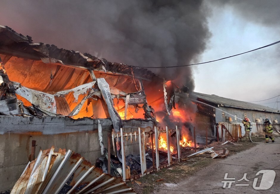 25일 오후 5시 19분쯤 구미시 무을면 돈사에서 불이나 소방 당국이 진화하고 있다.(경북소방본부 제공. 재판매 및 DB 금지)2026.1.26/뉴스1