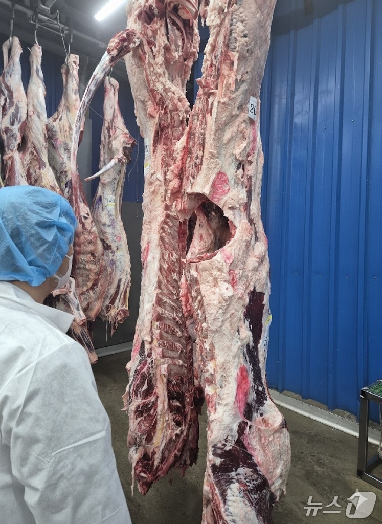 축산물 안전성 검사 자료사진.(경기도 제공. 재판매 및 DB금지)