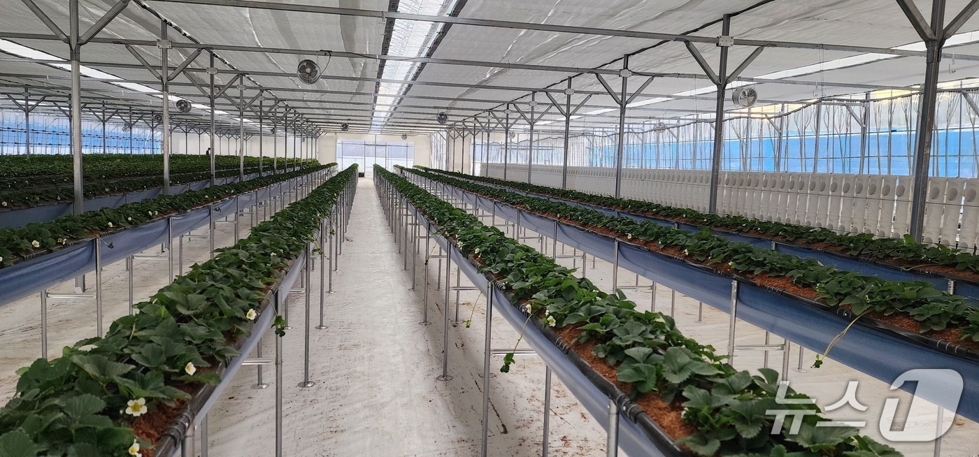 청도형 스마트팜 조성지(청도군 제공. 재판매 및 DB금지)/뉴스1