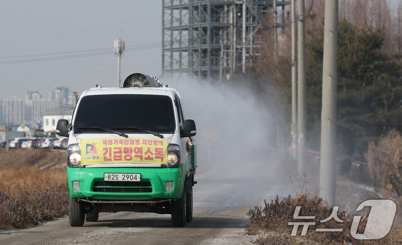 아프리카돼지열병(ASF)이 잇따라 발생하며 방역에 비상이 걸린 가운데 지난달 26일 경기 안성시 미양면 일대에서 안성시 관계자가 집중 소독 및 방역 작업을 하고 있다. 경기 안성시 미양면의 한 돼지 사육농가에서 ASF 양성 판정받은 지 하루만인 지난 24일 경기 포천에 있는 양돈농장에서도 아프리카돼지열병(ASF)이 확진됐다. 2026.1.26 ⓒ 뉴스1 김영운 기자