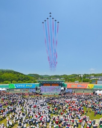 제48회 보성다향대축제에서 블랙이글스의 개막공연