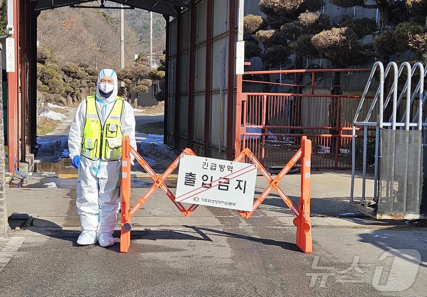  아프리카돼지열병 방역 현장 모습.(자료사진)/뉴스1 DB