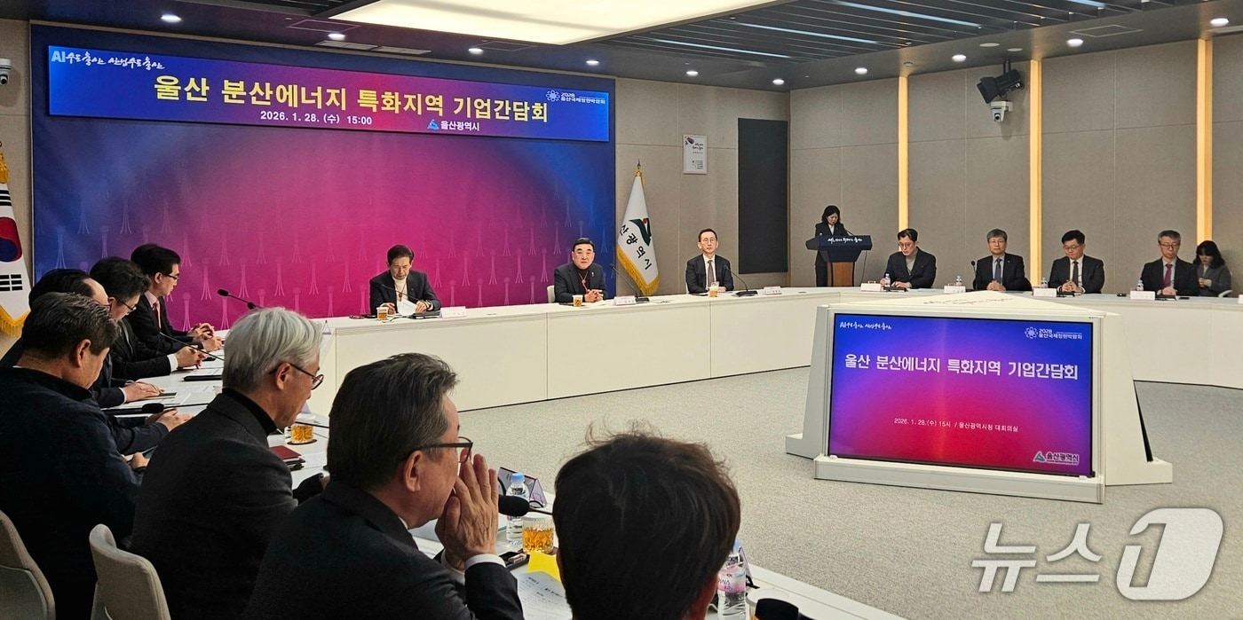 28일 울산시청 본관 2층 대회의실에서 분산에너지 특화지역 기업간담회가 열리고 있다. (울산시 제공. 재판매 및 DB 금지) /뉴스1