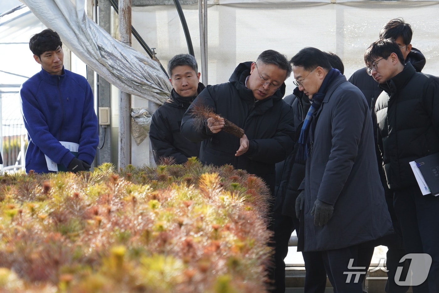 김인호 산림청장이 28일 양평군에서 국유양묘장을 점검하고 있다. (산림청 제공.재판매 및 DB 금지)/뉴스1 