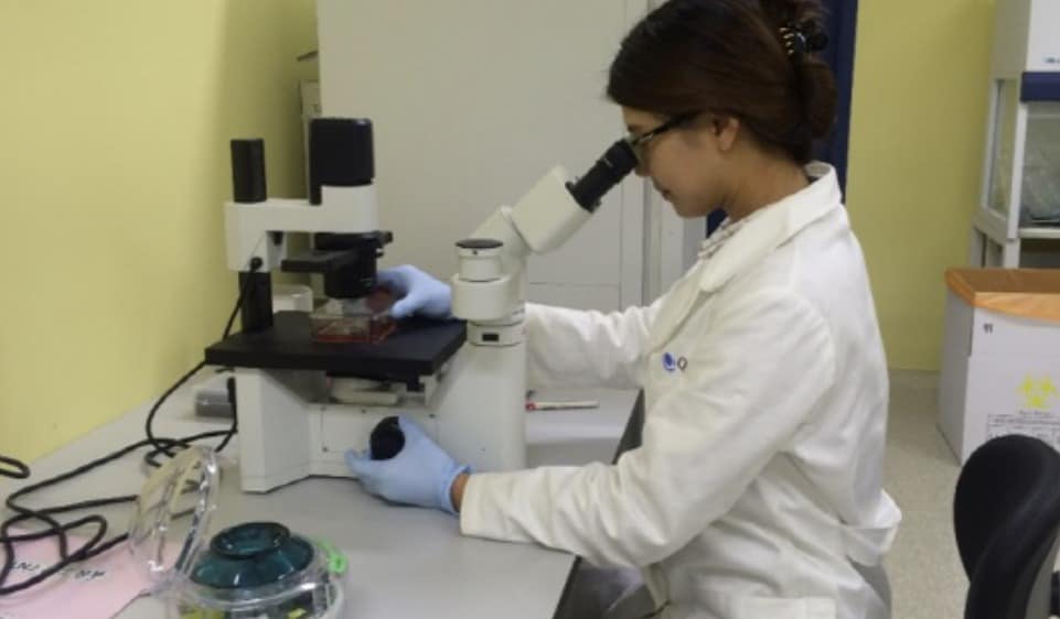 큐리언트 연구원이 신약 후보물질 분석을 하고 있다.(큐리언트 제공)/뉴스1