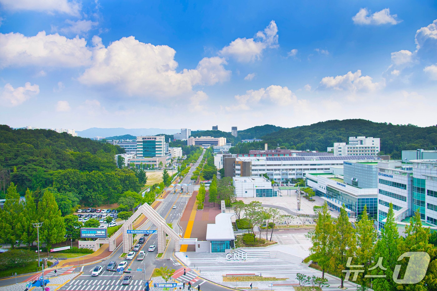 충남대학교 전경