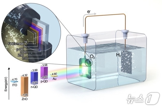 고가의 희생제 없이도 수소를 생산하는 금속 황화물 기반 광전극.(UNIST 제공. 재판매 및 DB금지)/뉴스1