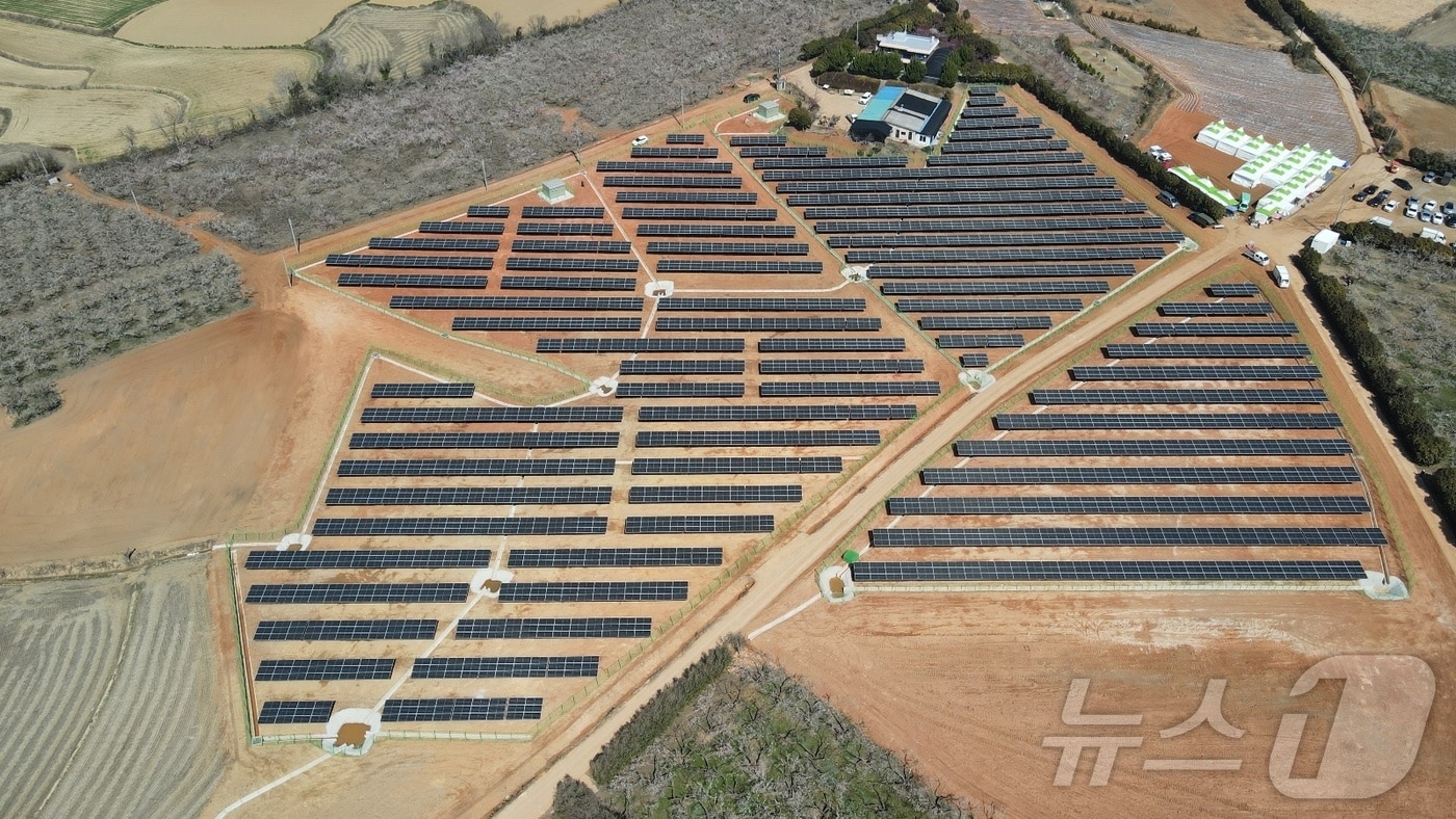 국내 최대 매실농원인 전남 해남 보해매실농원에서 진행 중인 태양광 발전 시설 공사.(시공사 제공, 재배포 및 DB 금지)2026.1.29/뉴스1