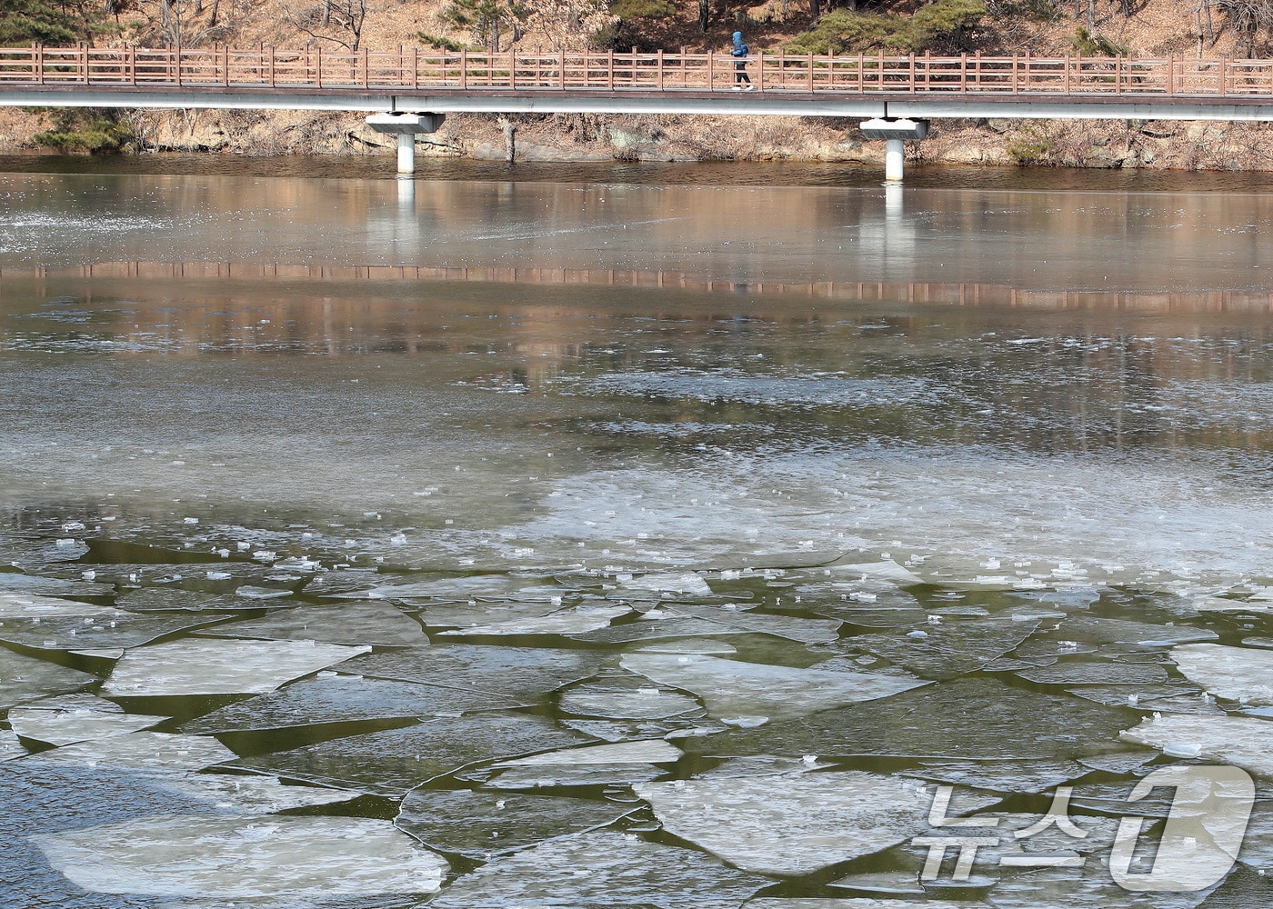 〈자료사진〉/뉴스1