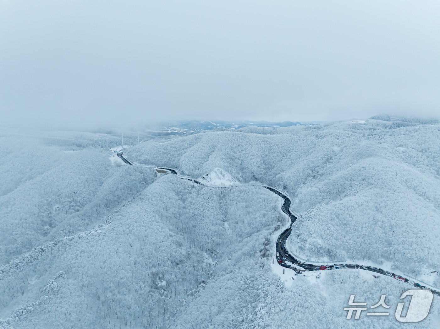 2026~207 강릉 방문의 해를 추진 중인 강원 강릉시가 2월 추천 여행지로 소개한 대관령 옛길 설경.(강릉시 제공, 재판매 및 DB 금지) 2026.1.29/뉴스1