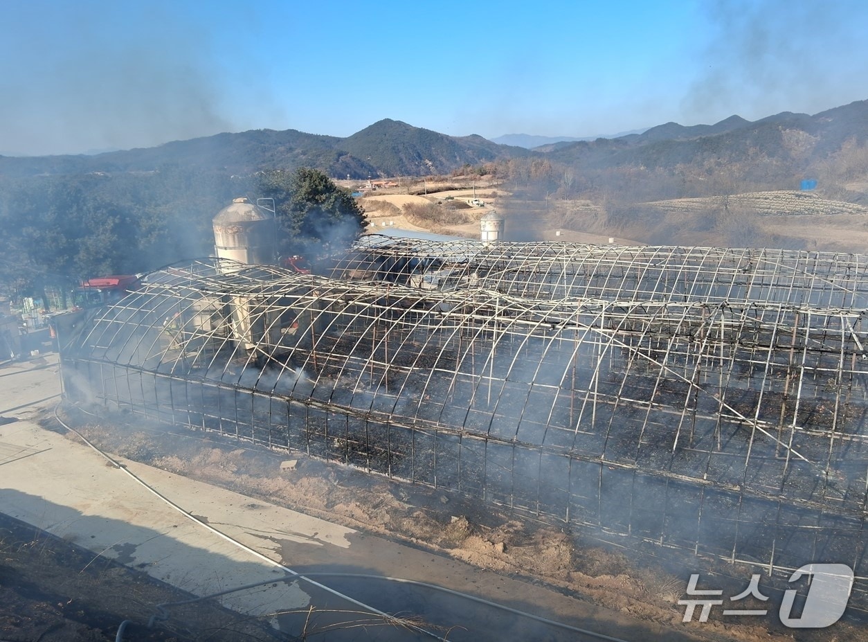 2일 낮 11시 5분쯤 경북 예천군 풍양면의 한 양계장에서 원인을 알 수 없는 불이 나 2시간 20여분 만에 꺼졌다. (경북소방본부 제공. 재판매 및 DB 금지)/뉴스1