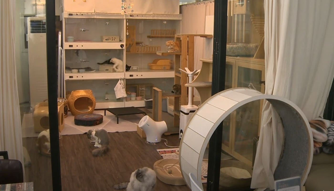 우리동네 펫위탁소 위탁보호(성동구 제공)