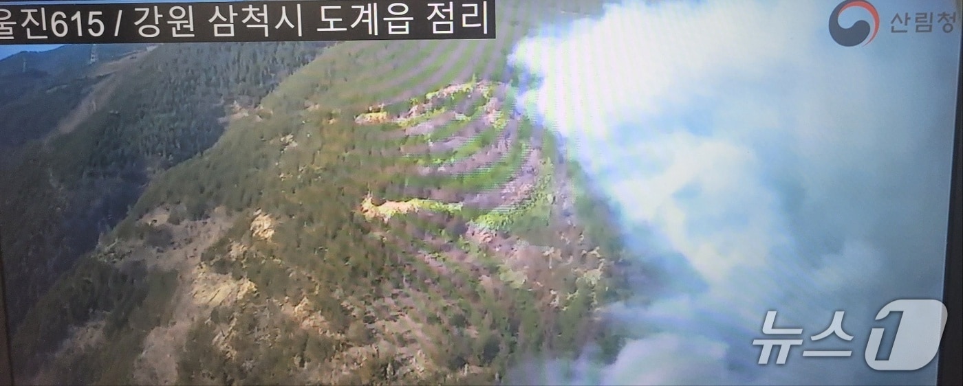 30일 강원 삼척 도계읍 점리 산불 현장.(산림청 제공, 재판매 및 DB 금지) 2026.1.30/뉴스1
