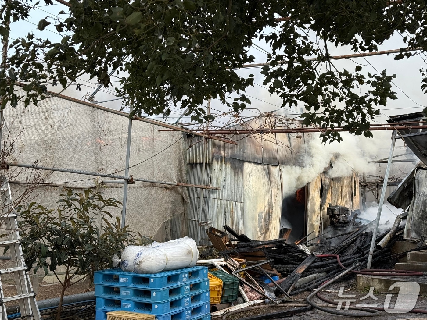 30일 오후 제주시 도련동에서 발생한 화재 현장.(제주도소방안전본부 제공. 재판매 및 DB 금지)