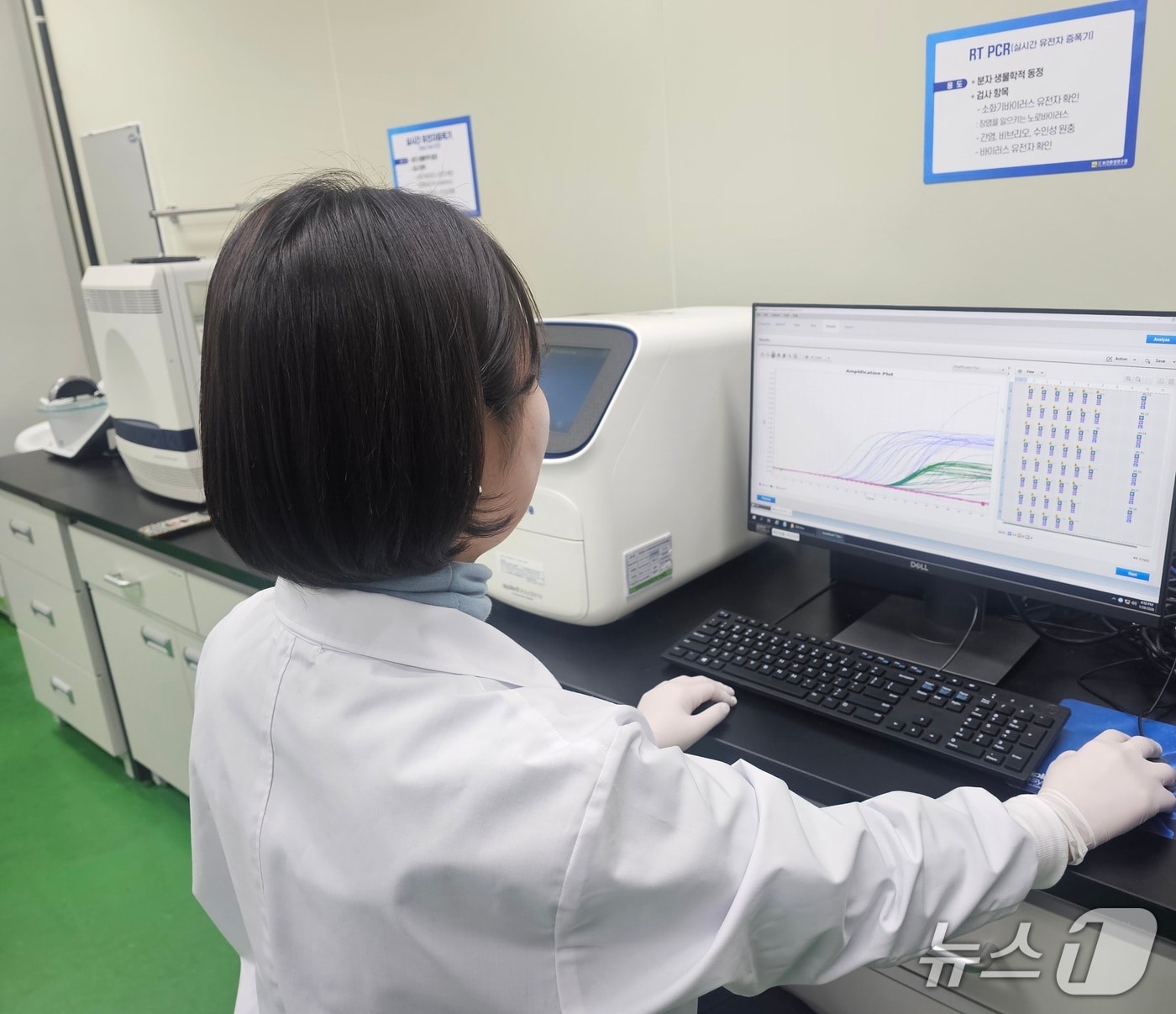노로바이러스 검사.(전남도 제공. 재판매 및 DB금지) 2026.1.31/뉴스1