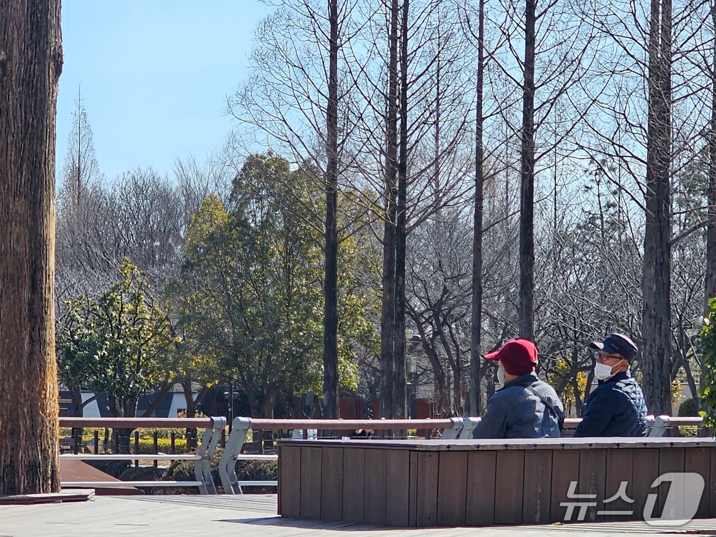 한파가 한풀 꺾인 31일 오후 김해 연지공원을 찾은 시민들이 벤치에 앉아 있다. 2026.1.31 ⓒ 뉴스1 박민석 기자