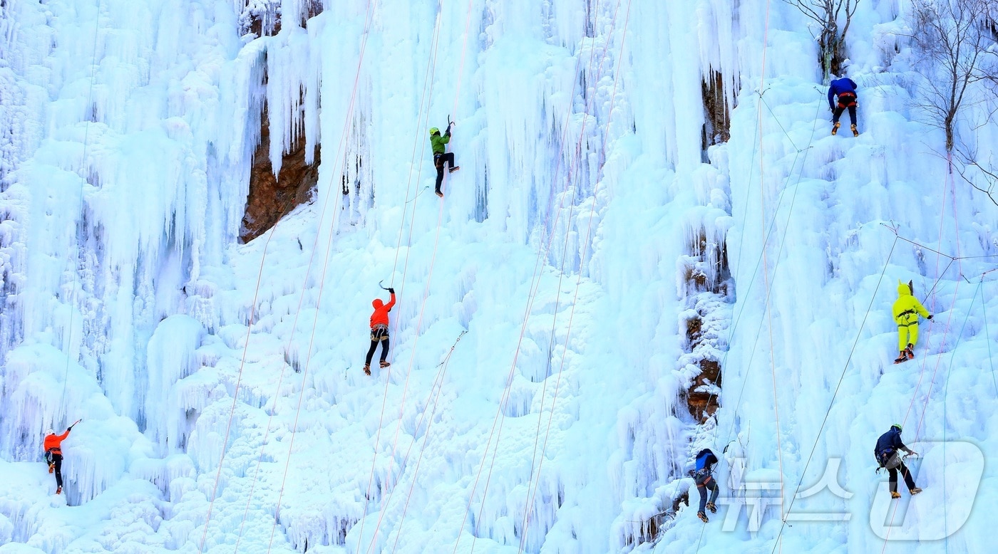 강원 인제 북면 용대리 매바위 인공폭포에 만들어진 거대한 빙벽을 전국의 빙벽등반 동호회와 전문가들이 오르고 있다.(자료사진)/뉴스1 DB