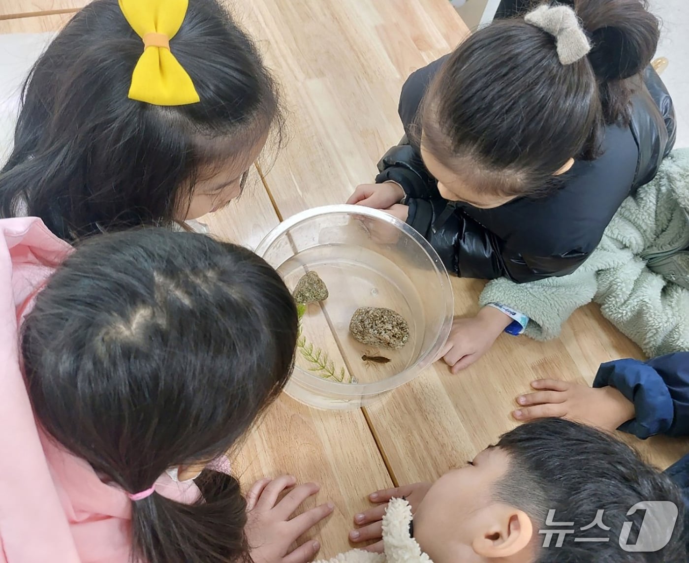 (성남시 제공. 재판매 및 DB금지)