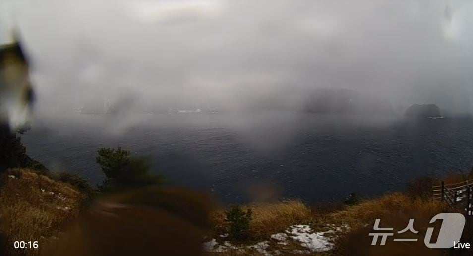 울릉도 전경.(라이브 울릉도 독도 실시간 방송 갈무리. 재판매 및 DB금지)