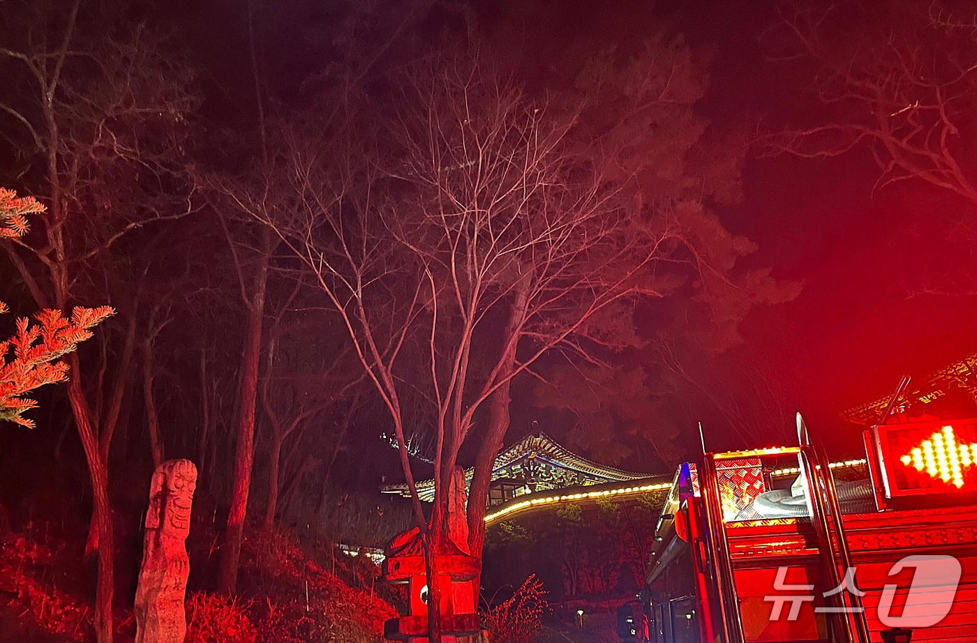 지난 5일 오후 6시30분쯤 대구 동구 도림사 인근 산에 불이 나 소방 당국이 진화하고 있다. (대구소방본부 제공. 재판매 및 DB 금지)