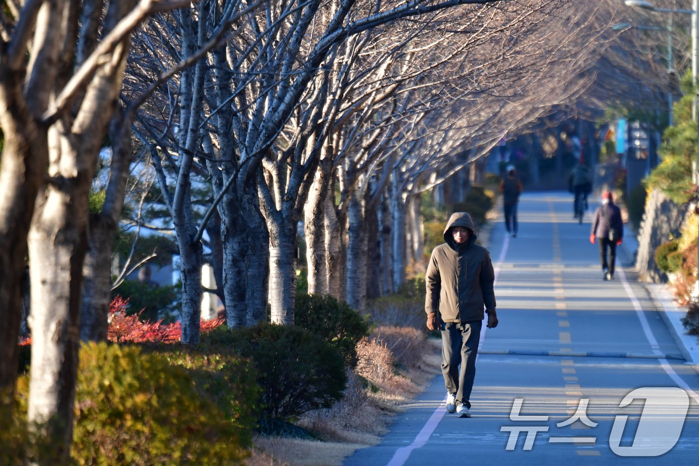 6일 경북 포항시 남구 대잠동 철길숲 도로에서 시민들이 아침 햇살을 받으며 산책하고 있다. 2026.1.6/뉴스1 ⓒ News1 최창호 기자