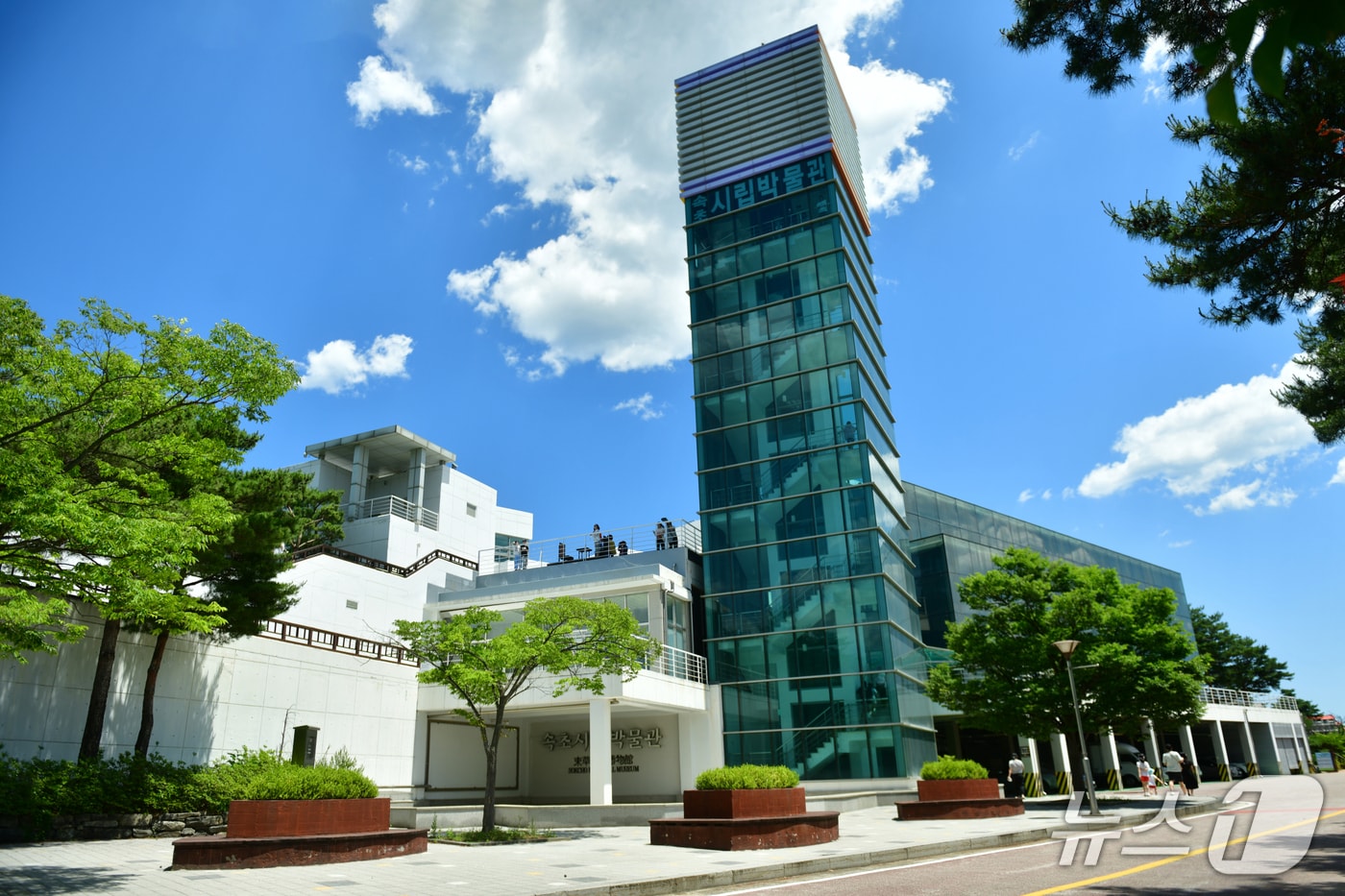 속초시립박물관.(속초시 제공, 재판매 및 DB 금지) 2026.1.6/뉴스1