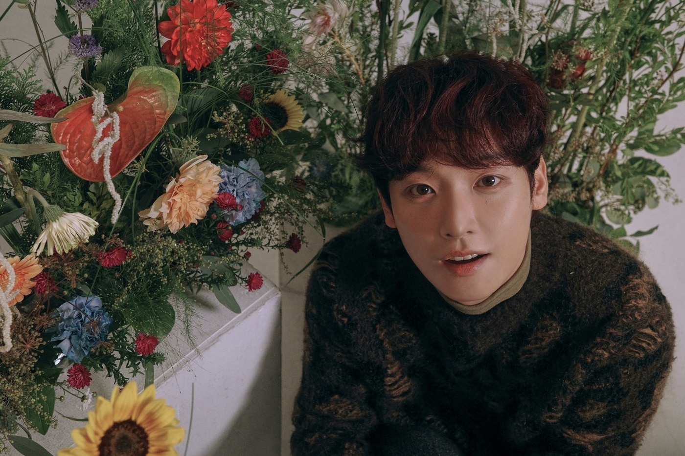 FNC엔터테인먼트