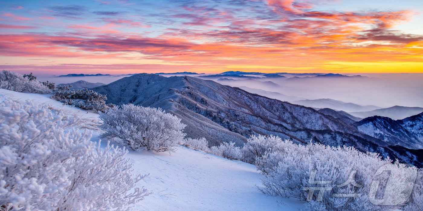 경북 영주 소백산 설경(경북교육청 제공. 재판매 및 DB금지) /뉴스1