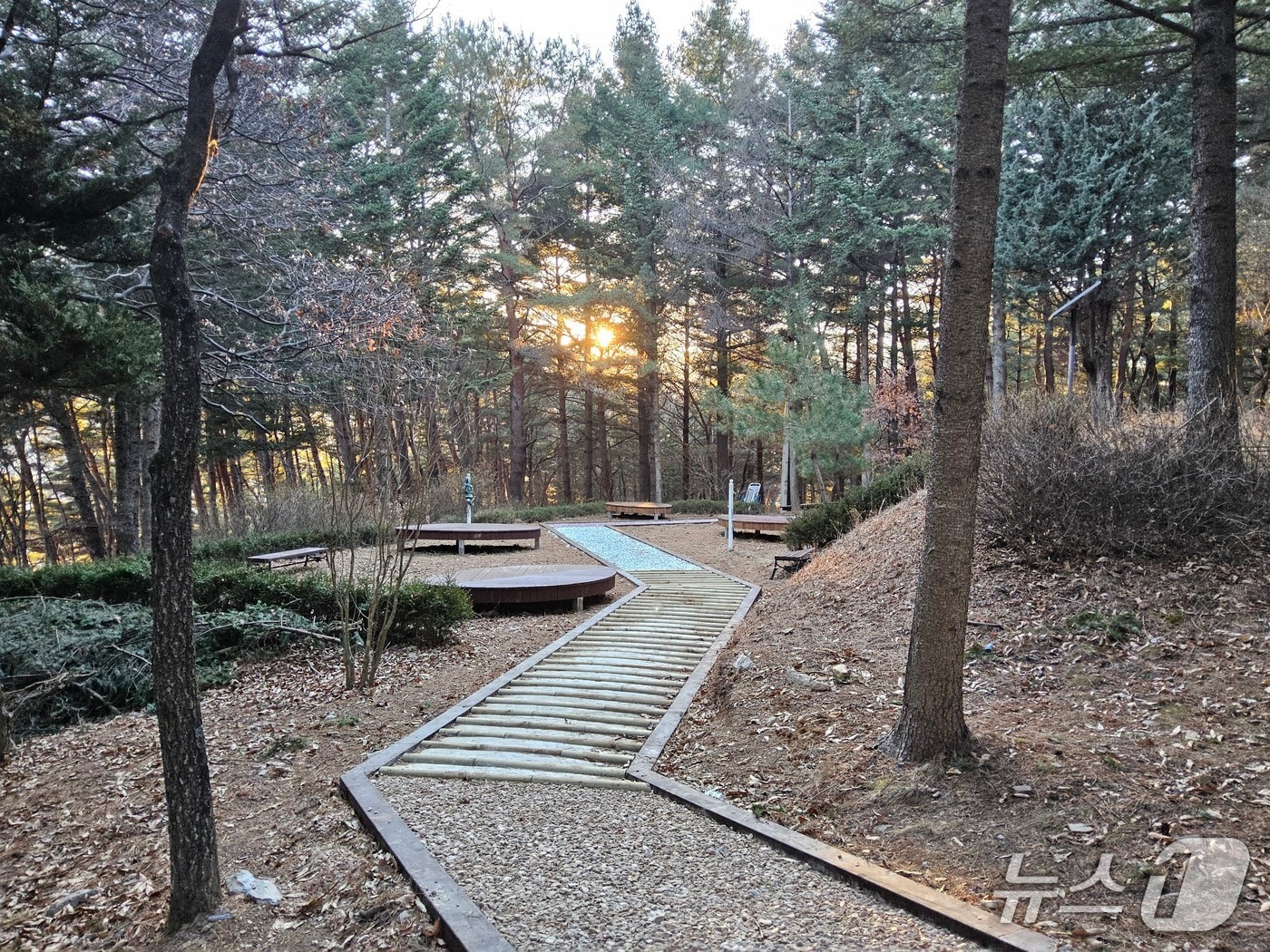 강원 정선군 비봉산 산림공원. (정선군 제공. 재판매 및 DB금지) 2026.1.6/뉴스1