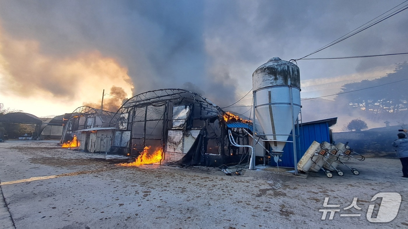 6일 오후 1시 30분께 전북 남원시 산곡동의 한 양계장에서 불이 났다.(전북소방본부 제공. 재판매 및 DB금지)2026.1.6/뉴스1