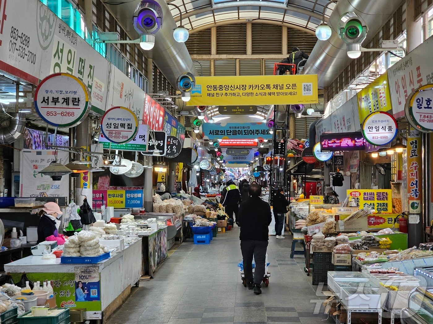 경북도는 7일 중소벤처기업부 주관 ‘2026년 전통시장 및 상점가 활성화 공모사업’에서 39개 시장에 총 56억원(국비 35억원)을 확보하며 전국 두 번째 규모의 성과를 거뒀다.사진은 안동중앙시장(경북도 제공. 재판매 및 DB금지) ⓒ News1 김대벽기자