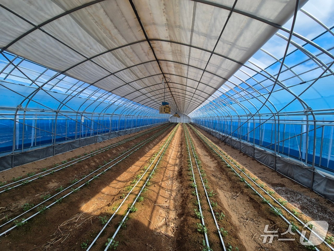 봉화군의 가업 승계 받은 농가(봉화군 제공. 재판매 및 DB 금지)2026.1.7/뉴스1