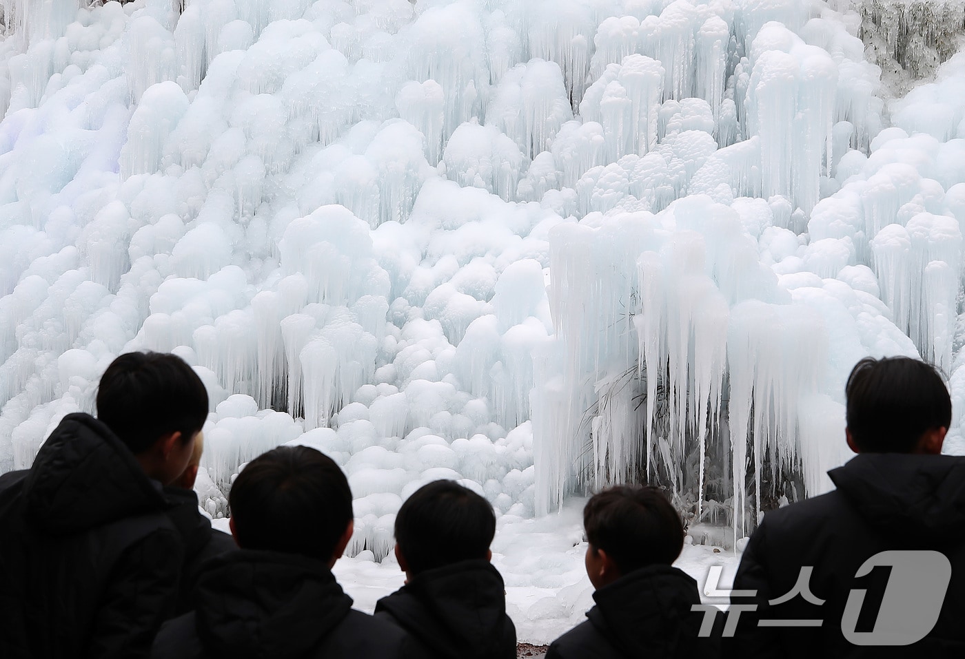 7일 오후 대구 달성군 유가읍 비슬산자연휴양림 얼음동산에 꽁꽁 언 빙벽이 장관을 이루고 있다. 2026.1.7/뉴스1 ⓒ News1 공정식 기자