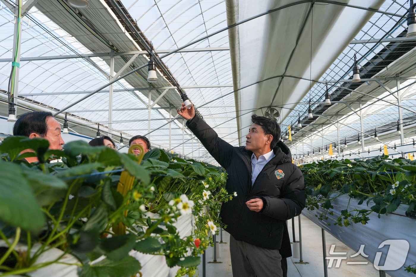 김진태 강원도지사가 7일 양구의 한 시설원예 농가를 찾아 한파 대비 상황을 점검했다.(강원도 제공, 재판매 및 DB금지)