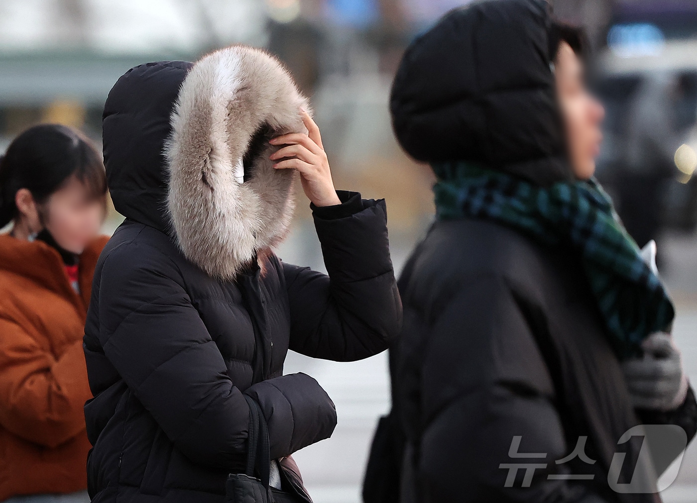 자료사진./뉴스1