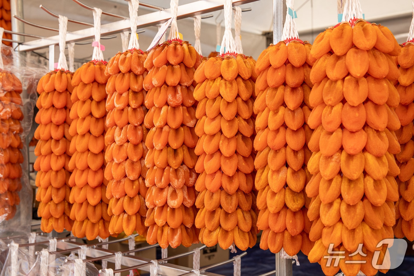 지리산함양 고종시 곶감 축제에 전시된 곶감(함양군 제공. 재판매 및 DB금지).