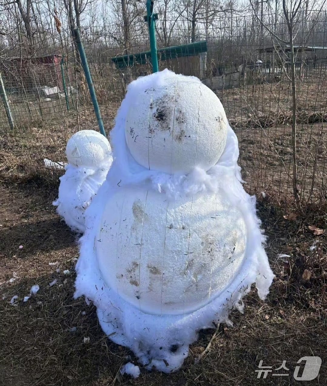 정저우시 후이지구의 한 농장에 설치된 '몽환설향' 모습. (웨이보 갈무리)