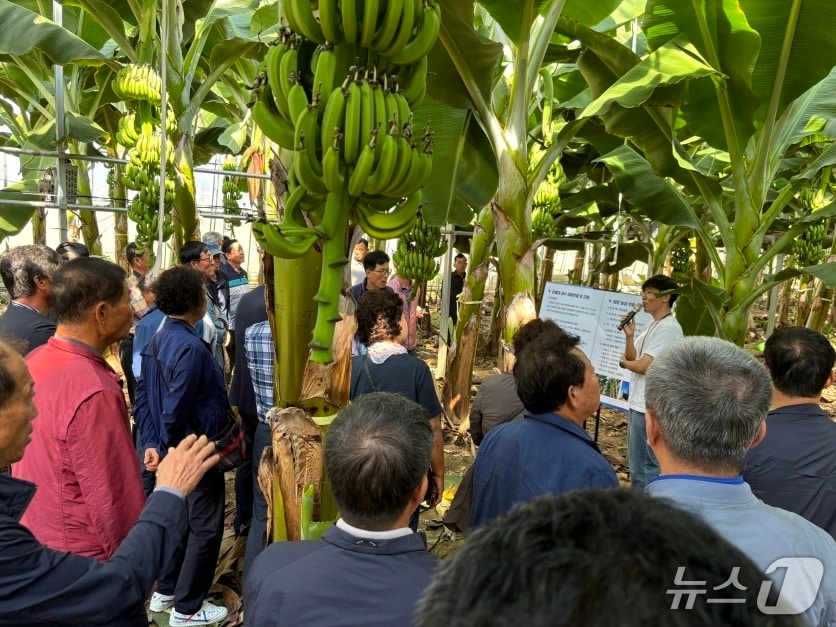 경북 포항시는 농촌지도 기술보급 시범 사업을 본격 추진한다. (포항시 제공, 재판매 및 DB금지)2026.1.8/뉴스1 