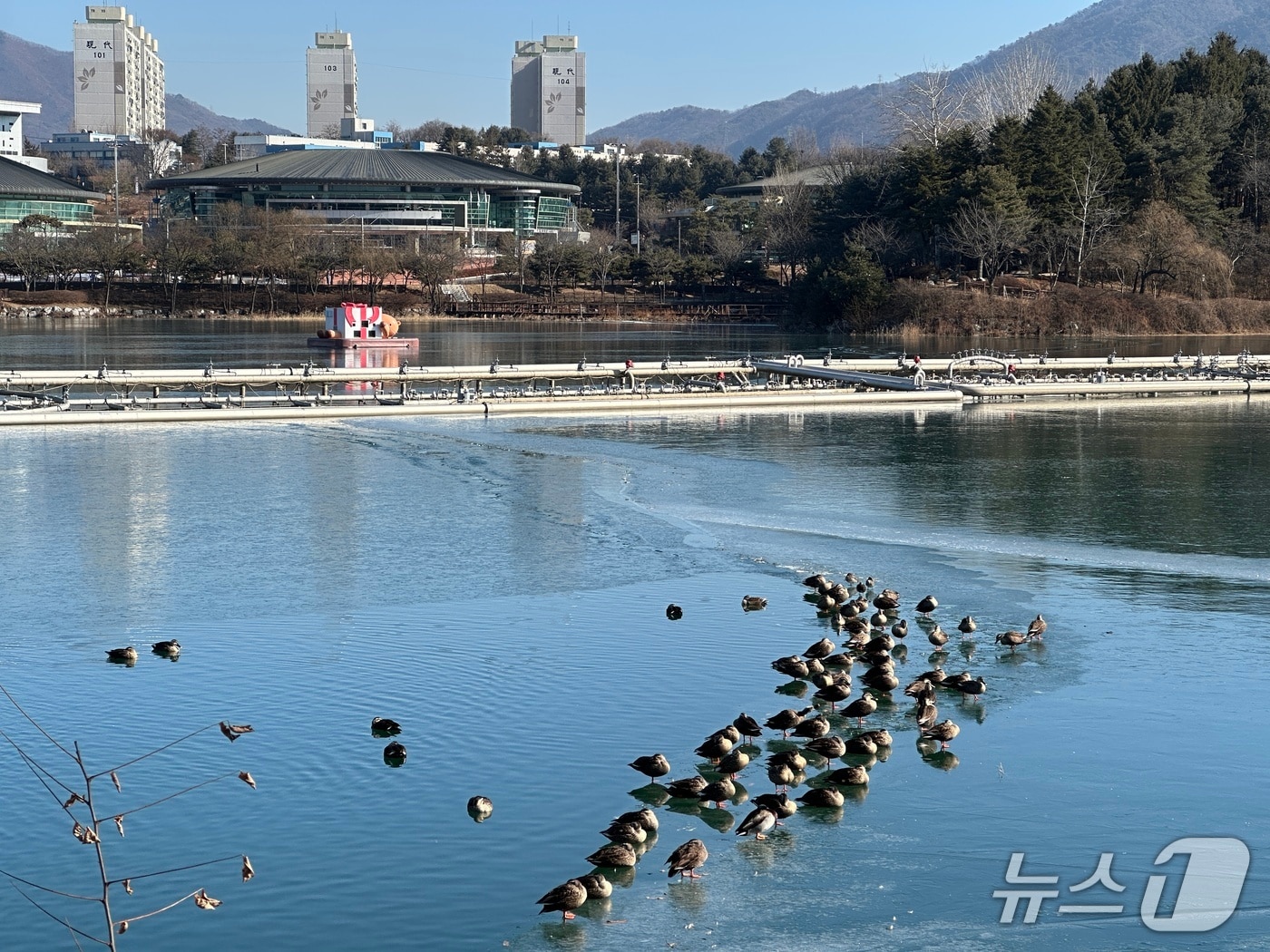 충주 호암지 겨울 풍경./뉴스1