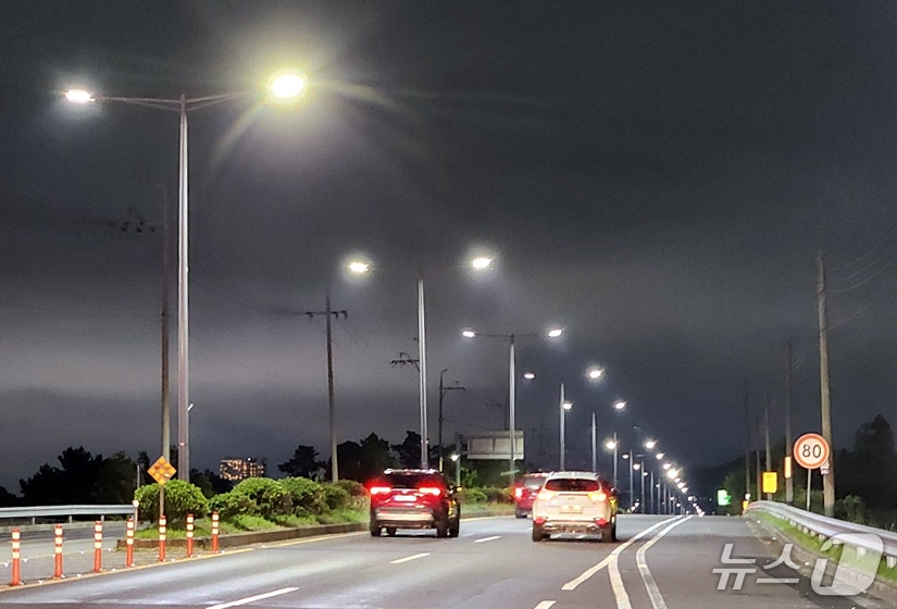 가로등이 설치된 제주의 한 도로.(제주특별자치도 제공, 재판매 및 DB 금지)