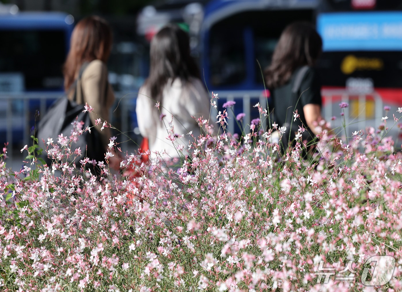 출근길 자료사진 ⓒ 뉴스1