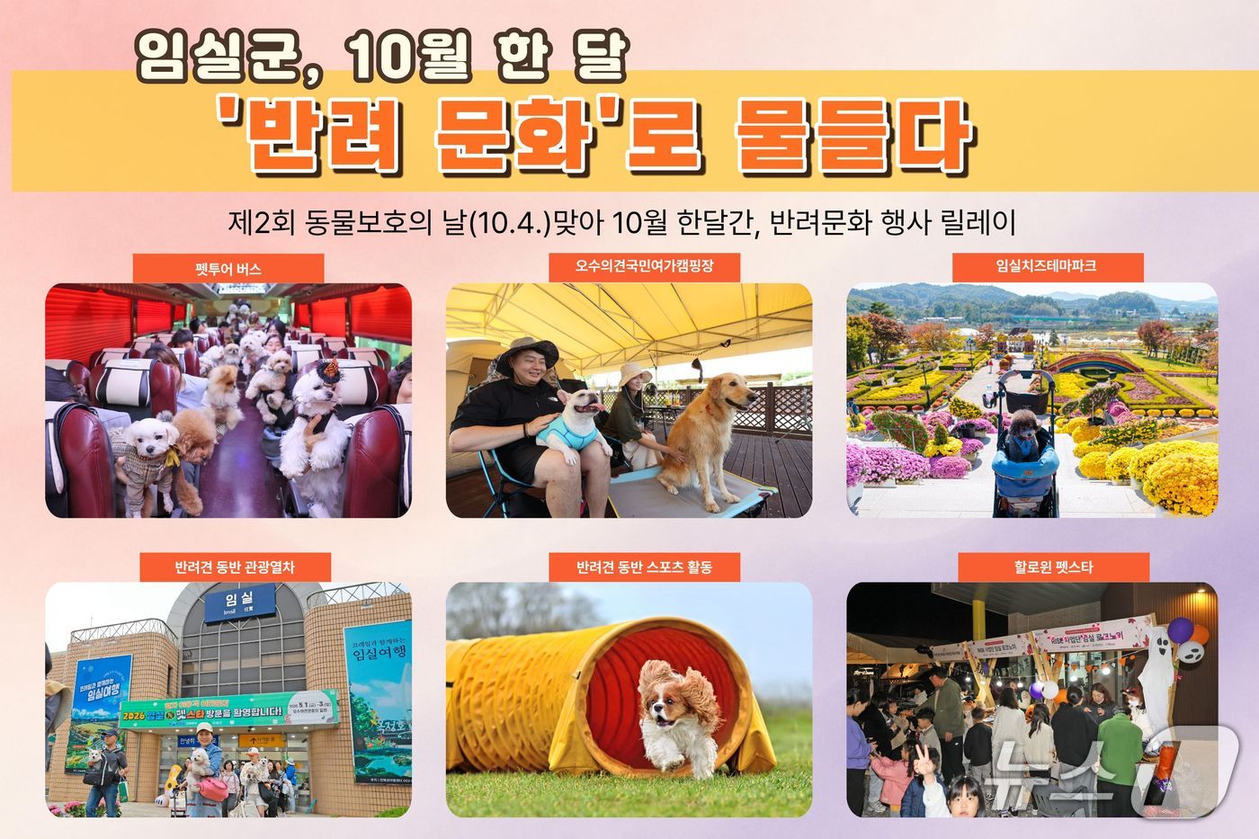 전북 임실군이 10월 한 달간 반려동물과 함께 즐길 수 있는 행사를 개최한다.(임실군 제공. 재판매 및 DB금지) 2026.10.1/뉴스1