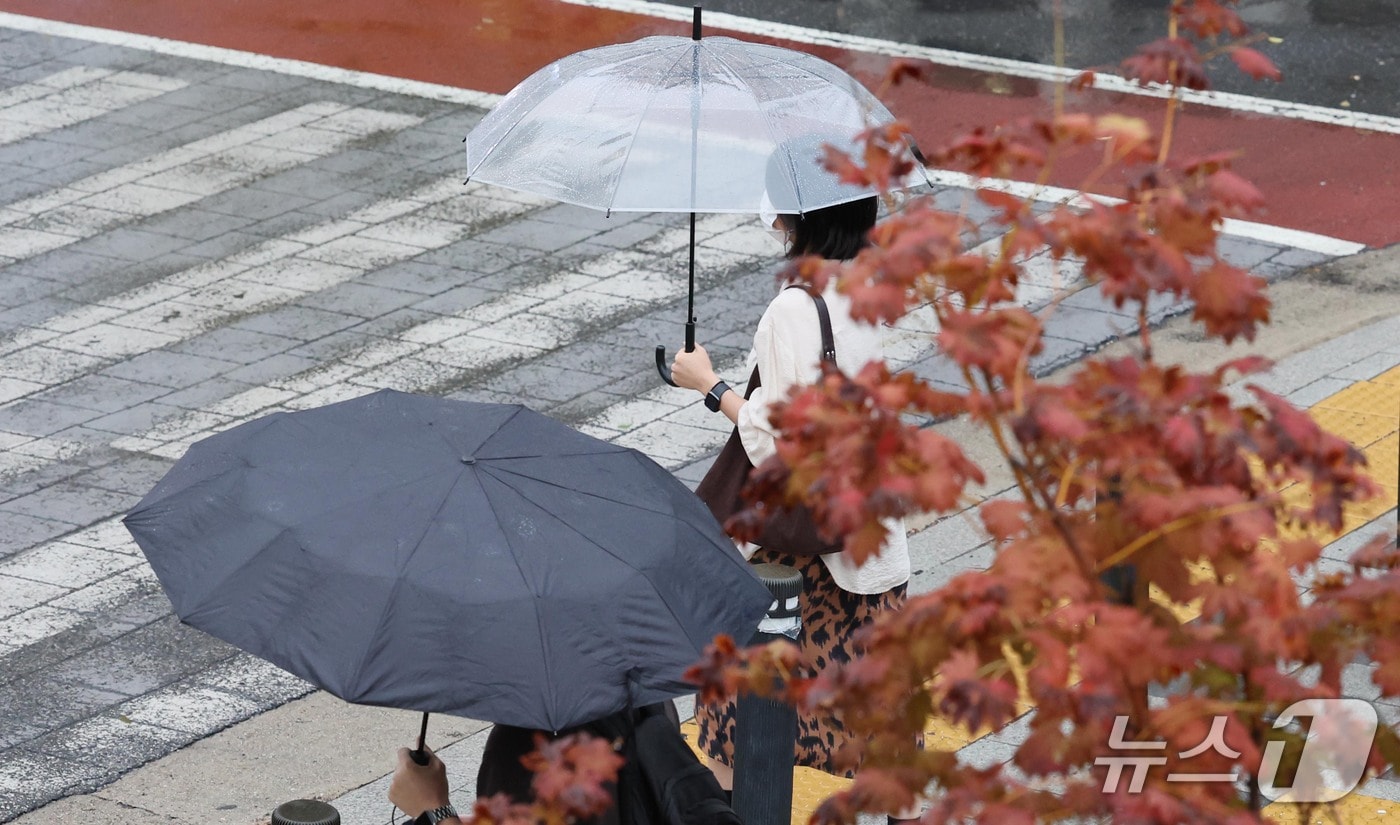 Chungbuk and Sejong weather on the 18th: autumn rain up to 80mm